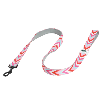 Padded Leash for Dogs, Cats & Puppies (Zig-Zag Red)