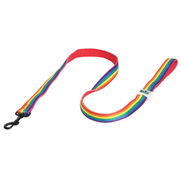 Padded Leash for Dogs, Cats & Puppies (Rainbow)