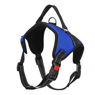 No-Pull Dog Harness with Handle – Adjustable, Durable, and Comfortable (Blue)