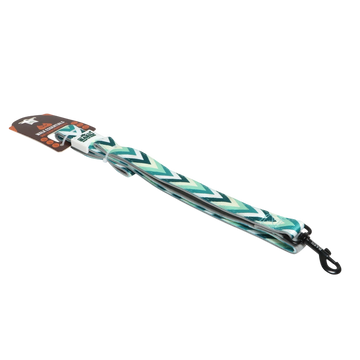 Padded Leash for Dogs, Cats & Puppies (Zig-Zag Green)